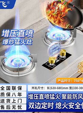 新飞家用燃气灶增压直喷猛火天然气液化气煤气灶嵌入台式定时双灶