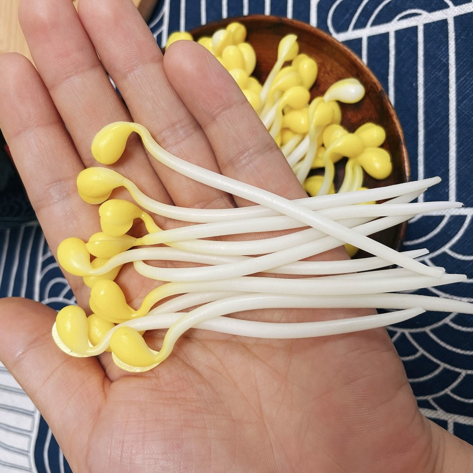 仿真豆芽模型假蔬菜绿黄植工艺品家居摆饰拍摄火锅菜品装饰玩道具,淘宝优惠券,粉丝福利购,淘宝优惠卷