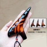 12 Kono Highling C Plus Prydow SC Двенадцать полюсов маленький керамический керамик и ученики средней школы хрустящие и яркие ученики средней школы