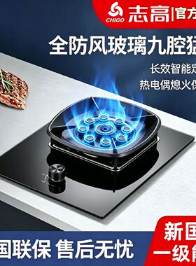 新国标志高天然气燃气灶单双灶台5.2KW火力家用一级能效节能