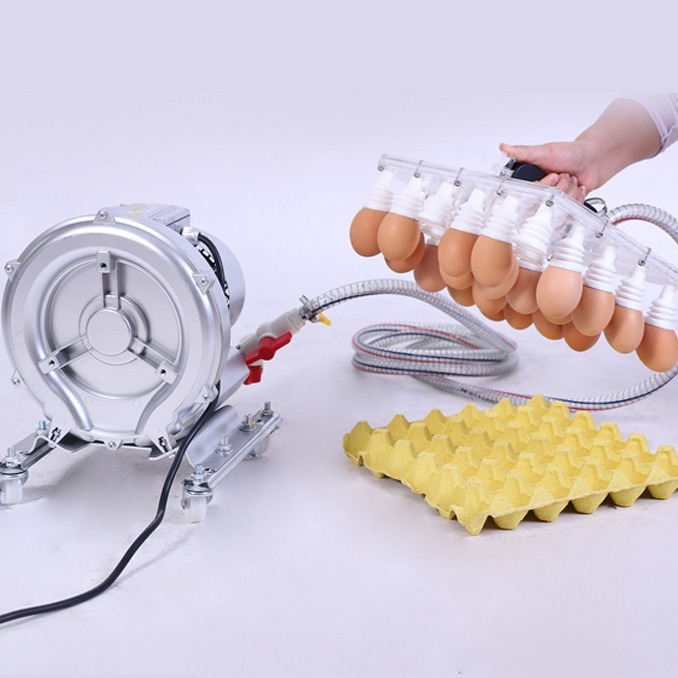 双手柄真空捡蛋工具码蛋装盒倒框保洁蛋吸蛋器15枚手柄源头厂家,淘宝优惠券,粉丝福利购,淘宝优惠卷