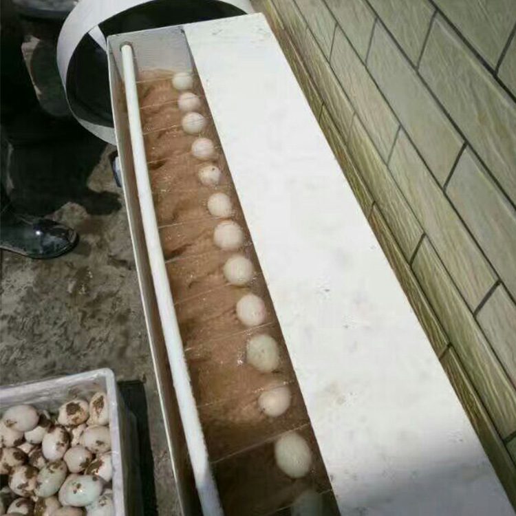 小型洗蛋机全自动蛋品清洗机新型麻酱蛋洗蛋机鸡蛋鸭蛋洗蛋机,淘宝优惠券,粉丝福利购,淘宝优惠卷