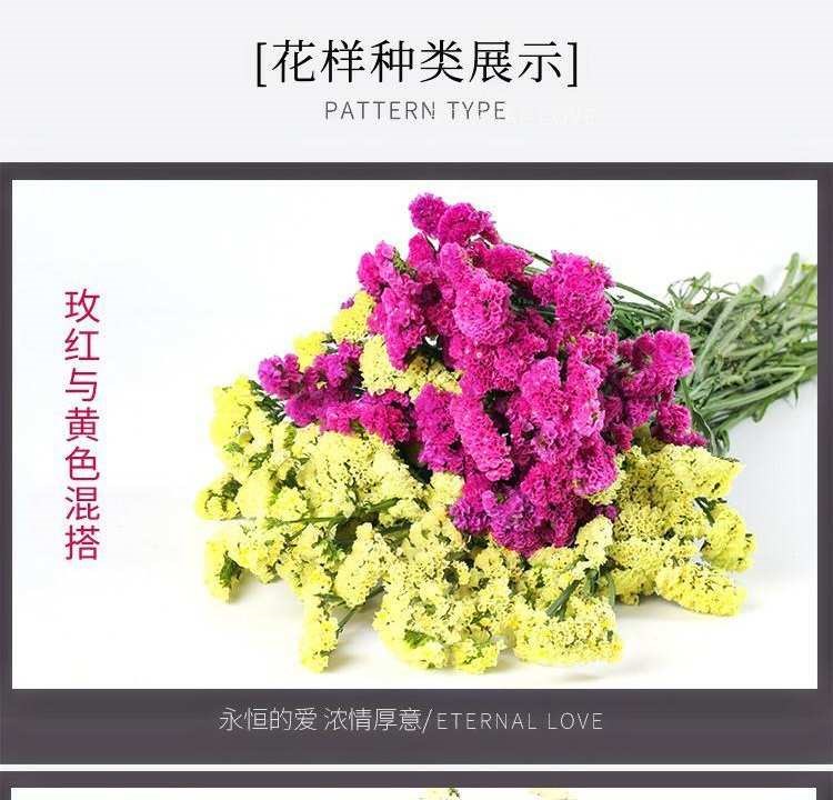 云南勿忘我干花混搭家居摆设小清新混搭干花插花客厅摆件装饰花枝 - 图3