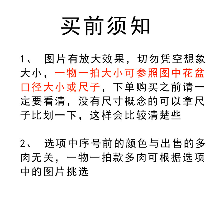 10cm盆PP拼盘整盆带土两年生石花番杏多肉植物一物一拍亏本包邮 - 图0