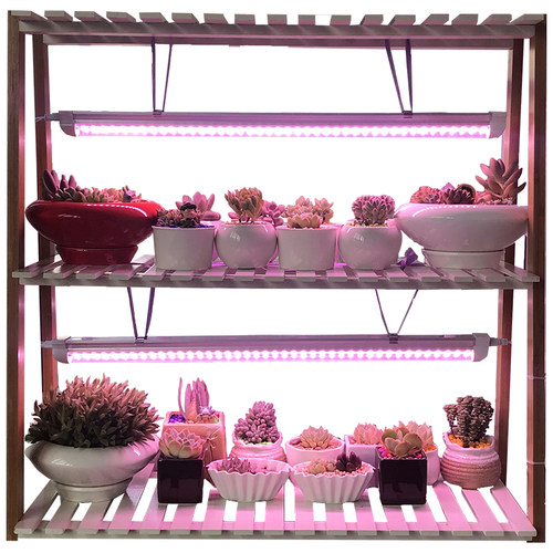 加瑞华多肉补光灯上色全光谱家用室内花卉led植物