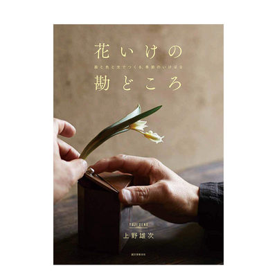 上野雄次插花作品与器皿搭配鉴赏花いけの勘どころ 器と色と光でつくる 季節のいけばな进口日文原版花艺 虎窝淘