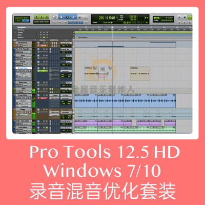 Pro Tools 12 12 5 Hd Windows 行业标准录音混音软件插件调试 虎窝淘
