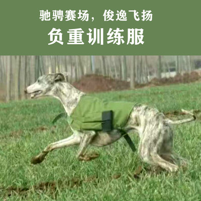 负重训练服用品装备格力犬灵缇惠比特赛细犬耐力含铁块狗胸背马甲 虎窝淘