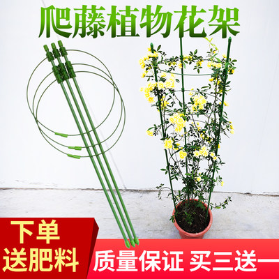 绿植园艺花架室内花卉植物支撑杆攀爬支柱托架花盆爬藤架子花支架 虎窝淘