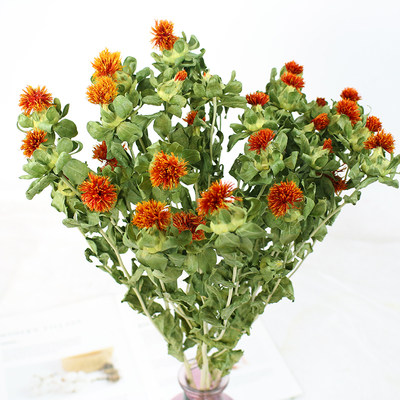 橙菠萝菊干花束真花风车果进口刺芹天然装饰插花客厅diy手工花材 虎窝淘