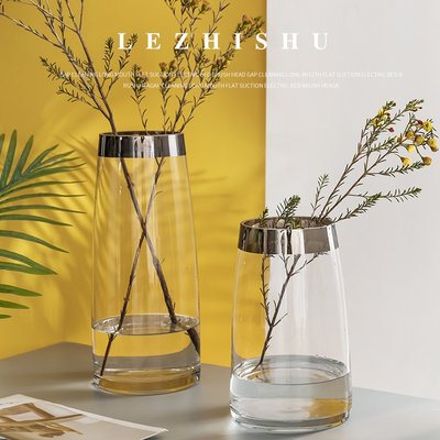 北欧简约现代直筒富贵竹百合玻璃花瓶透明花器家居客厅工艺摆设 虎窝淘