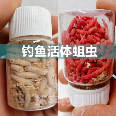 鱼蛆虫活体肉蛆红色活蛆白蛆瓶装盒装蛆牙子鱼饵60瓶渔具店货源 明月魅力小店铺 淘优券