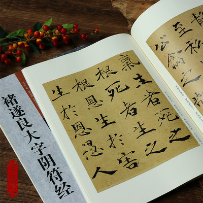 褚遂良大字阴符经古代经典碑帖善本简体旁注 通篇释读 原寸局部褚体楷书毛笔字帖书法临摹范本初学者专业院校学生入门临习教材 虎窝淘