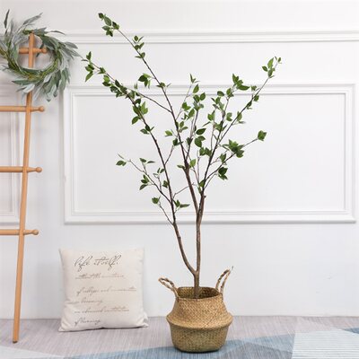 北欧风仿真椿树绿植物网红盆栽大型室内装饰客厅服装店落地摆件景 虎窝淘