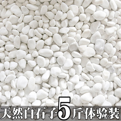 小白石子鹅卵石花盆多肉铺面日式枯山水庭院阳台造景装饰白色石头 虎窝淘