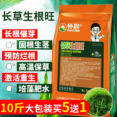 旺根 淘宝天猫优惠券折扣 旺根相关商品大全价格图片搜索赛选 综合排行 虎窝淘