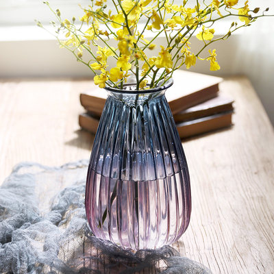 玻璃花瓶客厅插花瓶干花花瓶北欧装饰瓶透明水培富贵百合摆件大号 虎窝淘