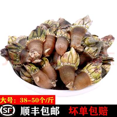 狗爪螺 价格 图片 淘宝天猫狗爪螺优惠商品大全 2 综合排序 虎窝淘