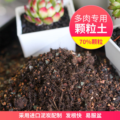 美莳多肉土专用颗粒土植物营养土赤玉土培养土进口泥炭土铺面石头 虎窝淘