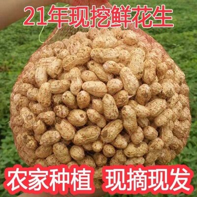 新鲜花生带壳湿花生 价格 图片 淘宝天猫新鲜花生带壳湿花生优惠商品大全 6 低价排序 虎窝淘
