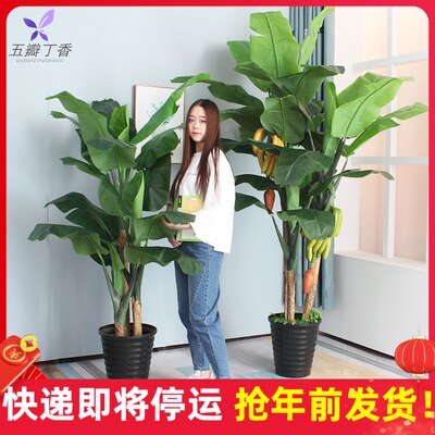 芭蕉树仿真植物室内装饰大型假树落地盆栽客厅摆件绿植造景仿真树 虎窝淘