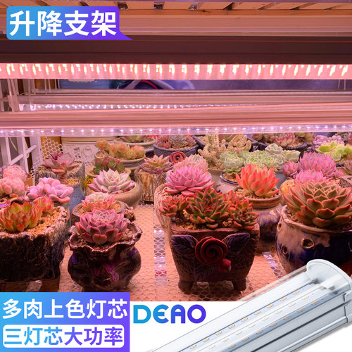德澳多肉补光灯上色家用室内花卉层架仿太阳全光谱led植物生长灯