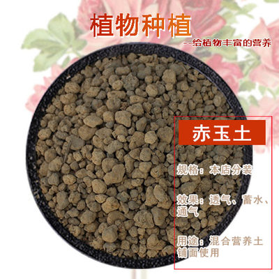 花舞雪日本进口花吹雪促花肥植物营养液有机肥料开花神器盆栽家用 虎窝淘