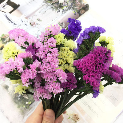 多色勿忘我干花花束永生花diy花材配花玫瑰辅花材料包七夕生日 虎窝淘