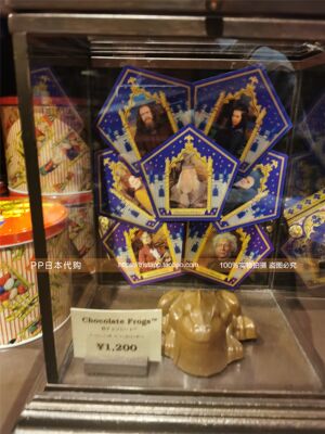日本代购usj大阪环球影城哈利波特巧克力蛙盲盒随机卡 虎窝淘
