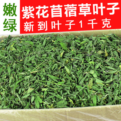 包邮嫩绿紫花苜蓿草叶子毛重1kg 兔子龙猫天竺鼠牧草干草兔