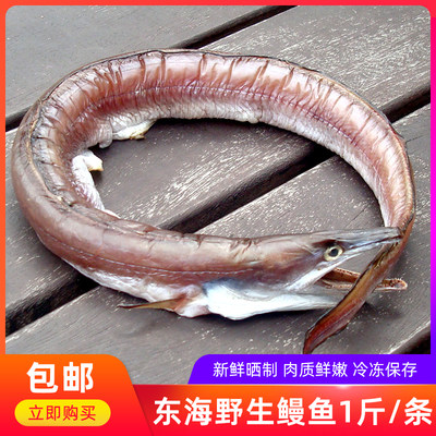 宝舜食品 宁波特产正宗舟山风鳗鳗筒鳗鱼干鳗鲞海鲜干货500g 虎窝淘