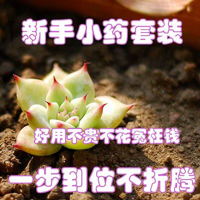 新手全套小药库多肉植物专用药剂一步到位不折腾多年经验选配 虎窝淘