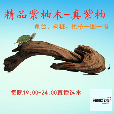 紫柚木拱桥型龟台沉木爬宠沉木真紫柚木非流木鱼缸水族直播包邮 虎窝淘