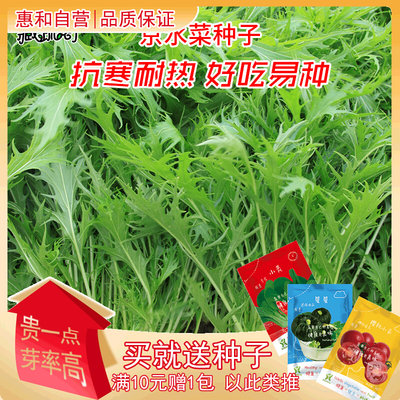 公平再生的祭司千筋水菜明快効能あるエレガント