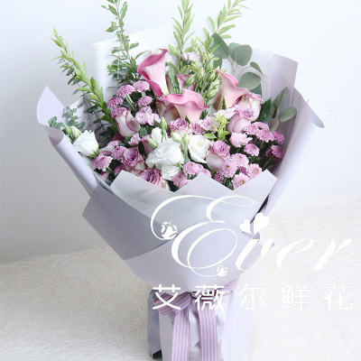 北京花束紫进口海芋紫玫瑰生日同城鲜花速递花玫瑰f597母亲节鲜花 虎窝淘