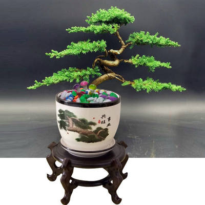 迎客松真树室内室外植物松柏地柏造型盆栽办公室庭院景观绿植盆景 虎窝淘