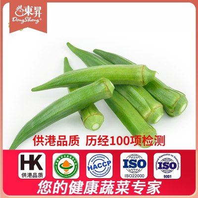 东升农场东升黄秋葵洋辣椒羊角豆秋葵荚广州蔬菜新鲜配送0g 虎窝淘