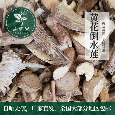 野生药材黄花倒水莲片阴根黄花大远志参观音串倒吊黄500g包邮 虎窝淘