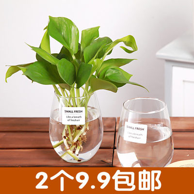 两个简约玻璃水培花瓶花盆透明水养绿萝吊兰植物观音竹桌面插花瓶 虎窝淘