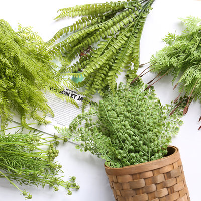 追花 绿意葱葱 仿真绿叶植物背景墙茉莉插花配件蕨类植物波斯叶 虎窝淘