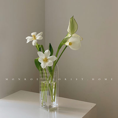 Monroe梦鹿工作室亚克力小花瓶轻奢透明摆件客厅鲜花插花干花装饰 虎窝淘