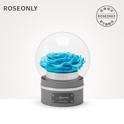 Roseonly永生玫瑰十二星座守护色永生花音乐球礼盒 虎窝淘