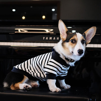 柯基衣服春秋薄款狗狗秋冬装防掉毛小型犬中型犬宠物条纹潮流卫衣 虎窝淘
