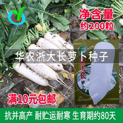 圣凯华农浙大长白萝卜种子籽春秋播大田冬储蔬菜经济作物蔬菜种子 虎窝淘