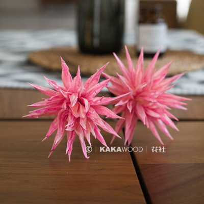Kakawood花社天然干花干燥花北欧家居软装植物插花搭配多色秋葵果 虎窝淘
