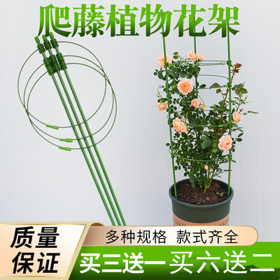 花盆托架花支架月季爬藤架子园艺花架室内花卉植物铁线莲攀爬支柱 虎窝淘
