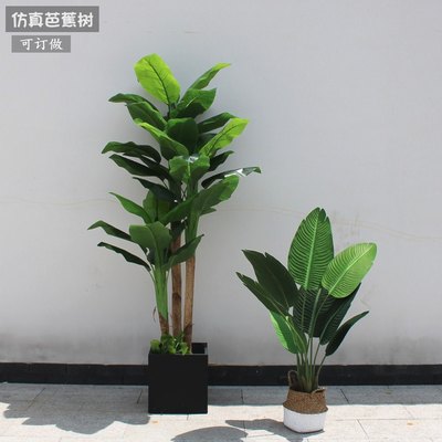 仿真绿植物假树花芭蕉香蕉树酒店家庭大客餐厅办公室装饰绿色环保 虎窝淘