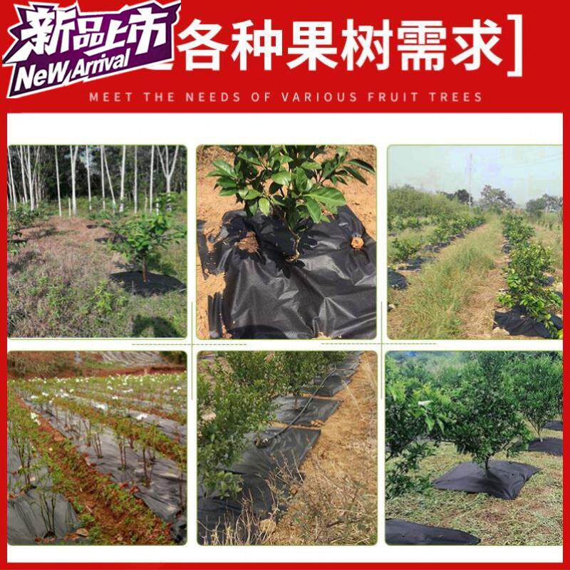 新型防草布除草布农用果树园艺地布抑草布果园地膜黑色y透气除草 虎窝淘