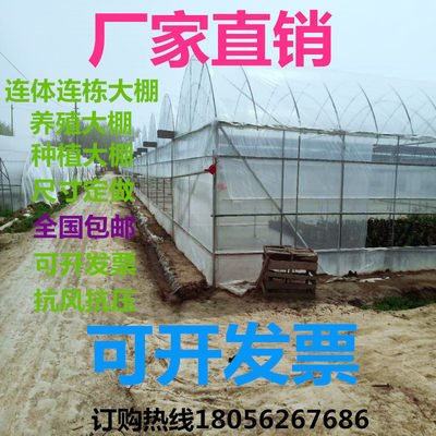 温室养殖鸡家用简易蔬菜椭圆管农用种植塑料连体连栋大棚骨架钢管 虎窝淘