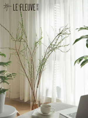 星河丨雪柳鲜枝室内水培鲜切水养植物大型枝条带花苞喷雪花年宵花 淘宝天猫优惠券折扣 星河丨雪柳 鲜枝室内水培鲜切水养植物大型枝条带花苞喷雪花年宵花相关商品大全价格图片搜索赛选 综合排序